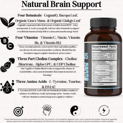 14-in-1 Focus Nootropic with Vitamin C, B6 & 12, Alpha GPC, and More - 60 Filler Free Capsules